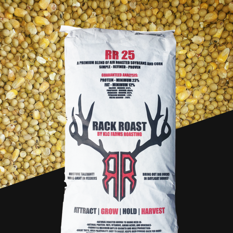 Amazon.com : 2lb Bulk Bag Roasted Salted Soybeans (Soy Nuts) : Dried Soy  Beans : Grocery & Gourmet Food